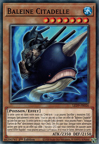 026-Baleine Citadelle