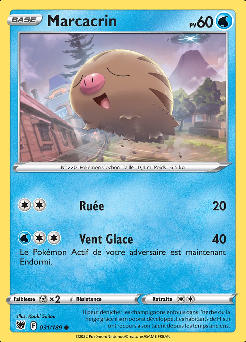 031-Marcacrin