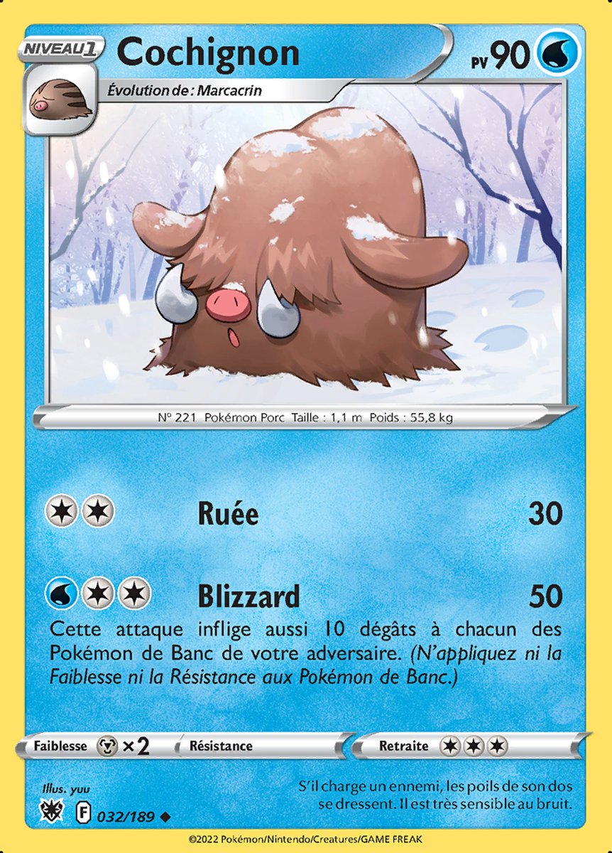 032-Cochignon