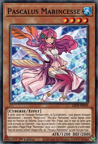 039-Pascalus Marincesse