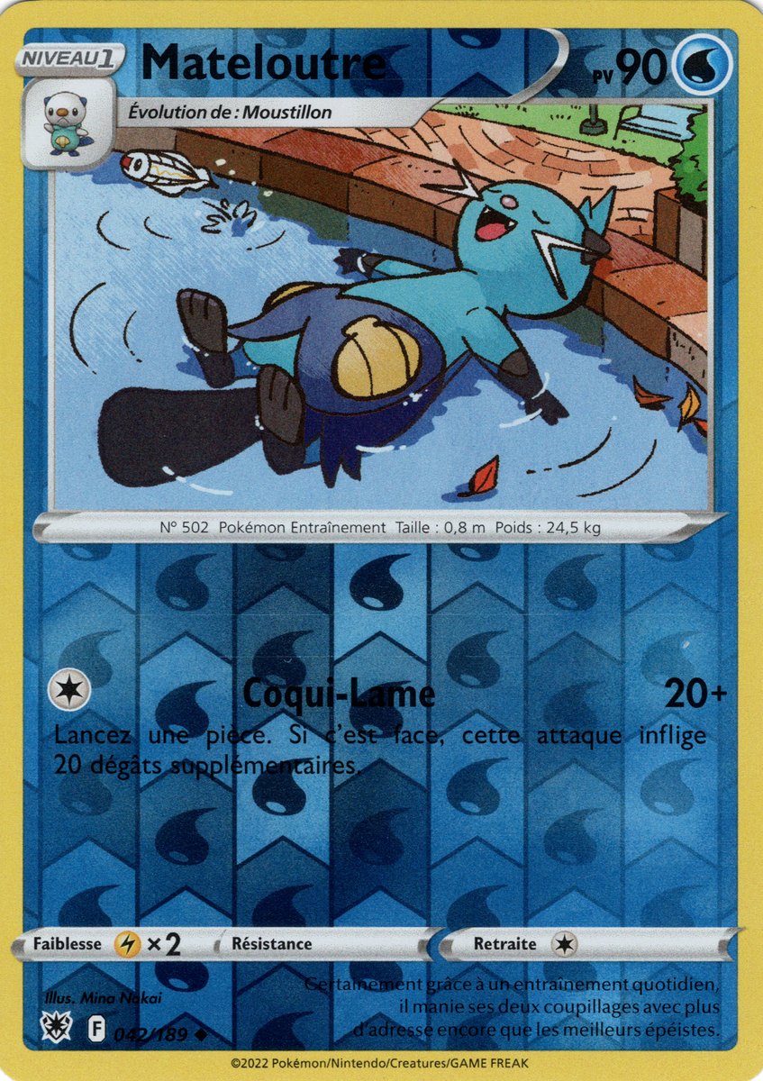 042-Mateloutre REVERSE