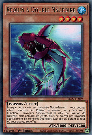 049-Requin à Double Nageoire