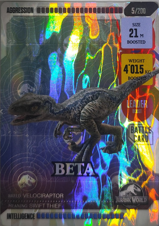 005-Beta