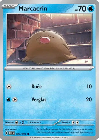 023-Marcacrin