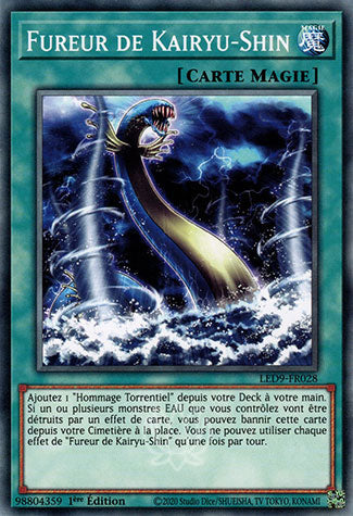 028-Fureur de Kairyu-Shin
