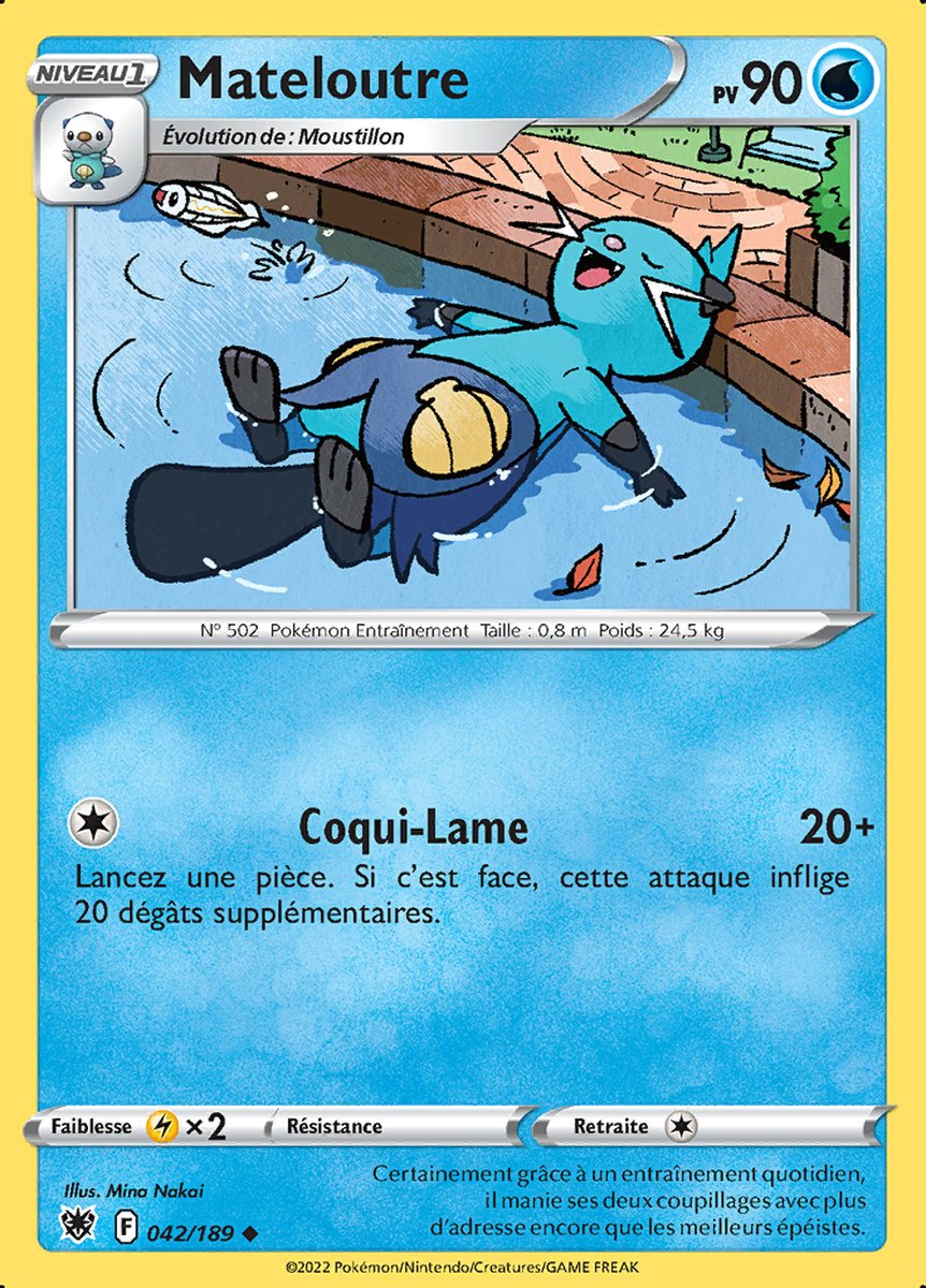 042-Mateloutre
