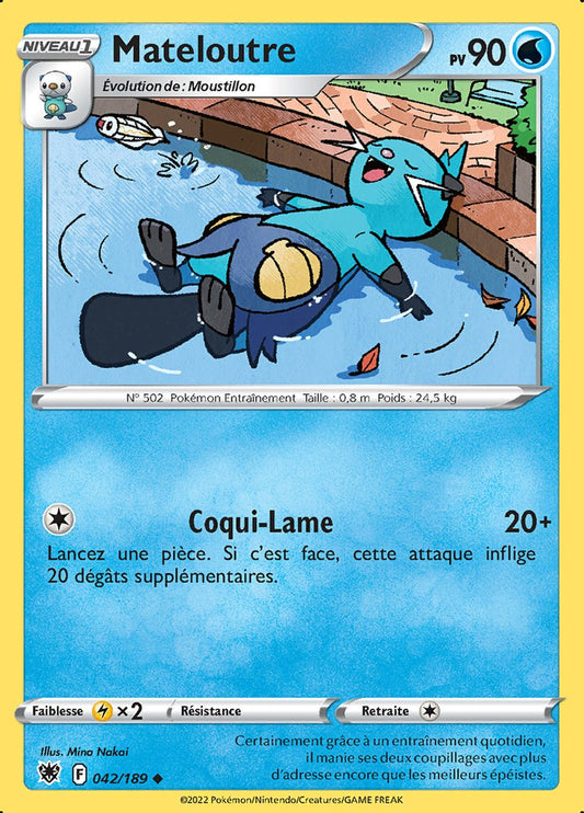 042-Mateloutre