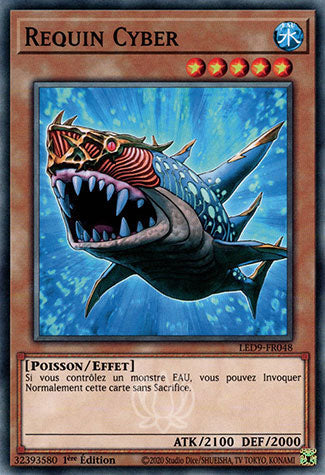 048-Requin Cyber